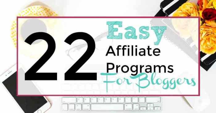 Affiliate Program Ideas